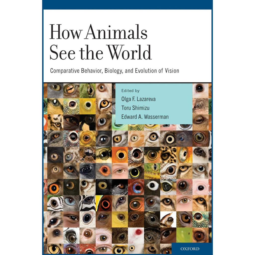 cover of How Animals See World