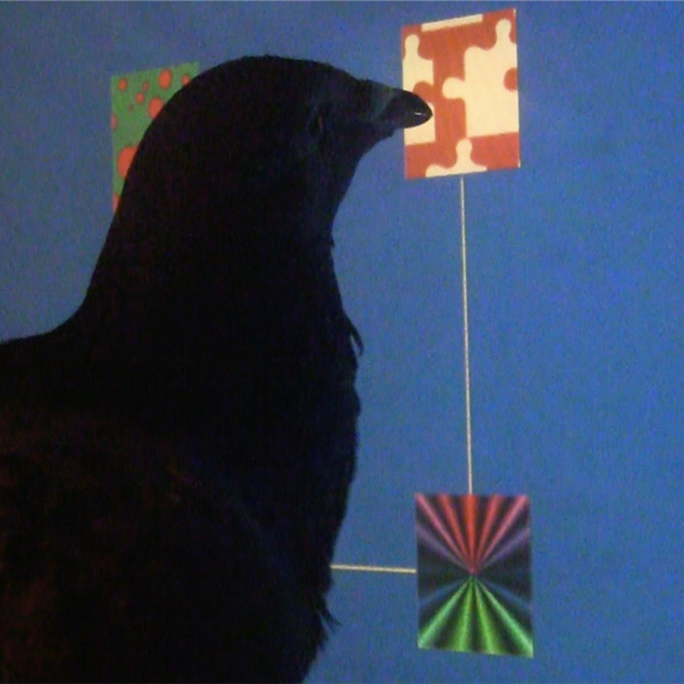 pigeon 46R pecking