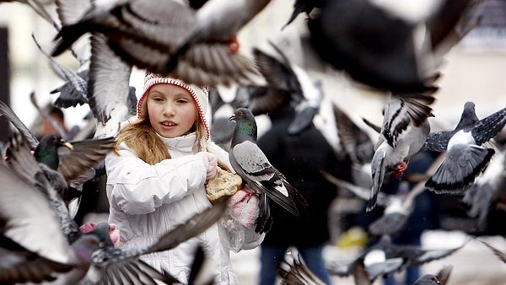 girls with flying pigeons